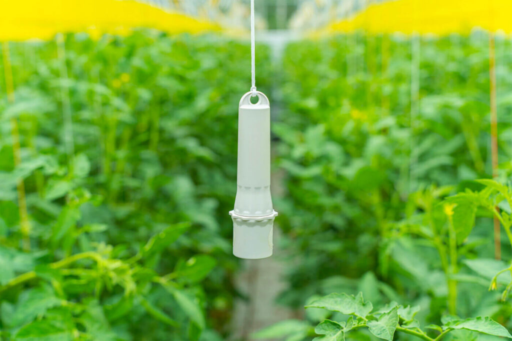Draadloze sensor in serre van Agriplux